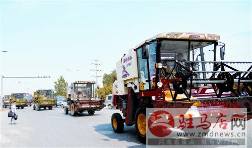 zhaol1505371.jpg