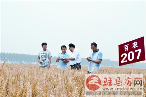 wanghl15068.jpg