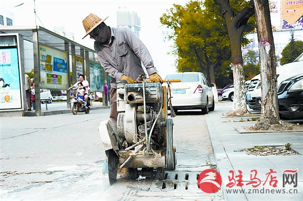 luf1506282.jpg