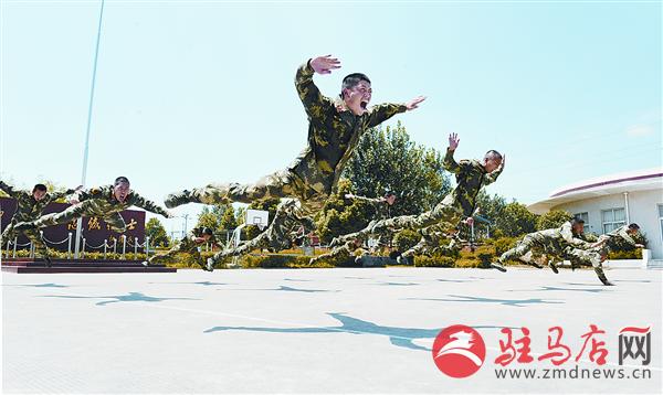 luf1507306.jpg