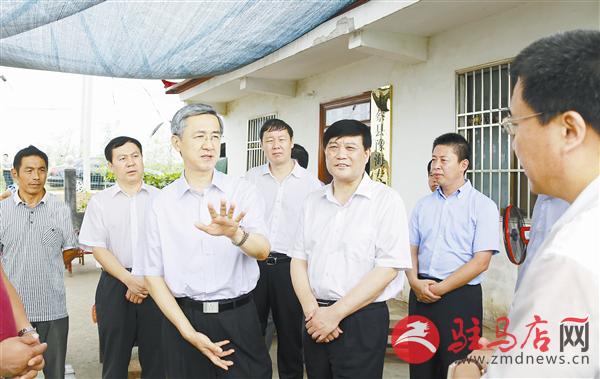 guols1508138.jpg