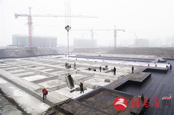 guols1511181.jpg