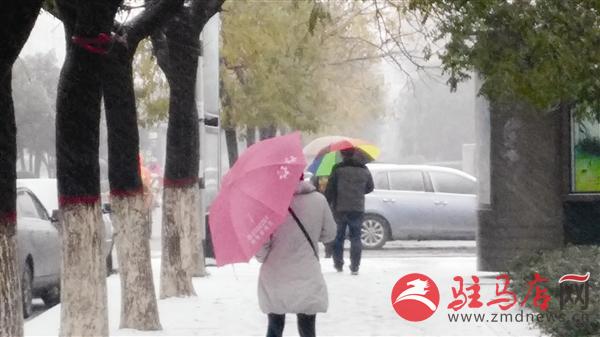 guols1511301.jpg