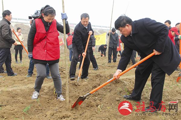 guols1603123.jpg