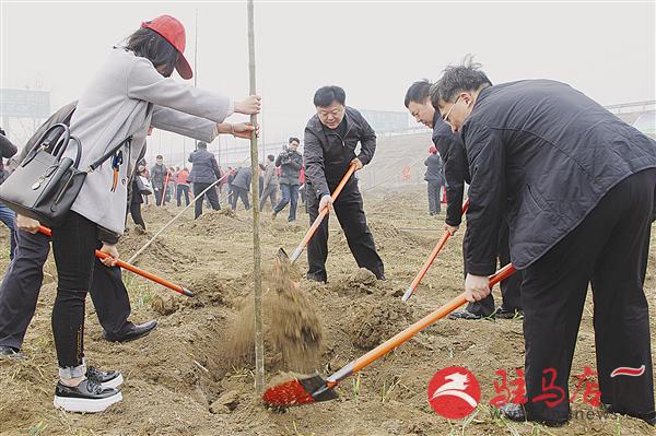 guols1603122.jpg