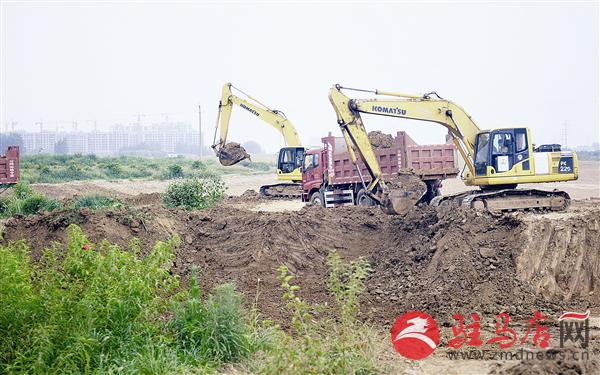 guols1607167.jpg