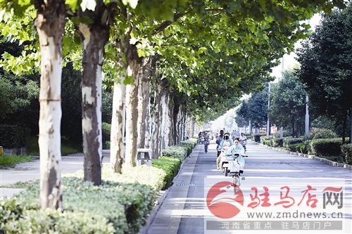 guols1607259.jpg