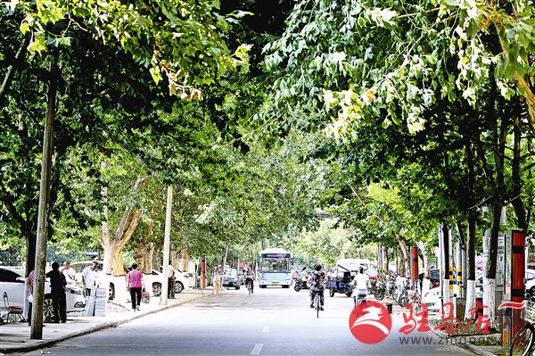 guols1607310.jpg
