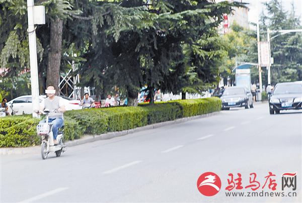 wub1608200.jpg