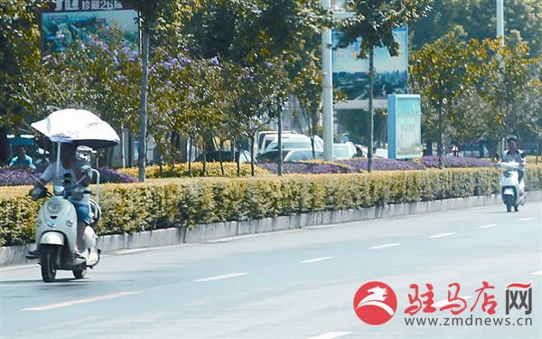 zhangxj160860.jpg