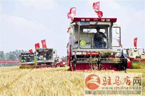 wub1609206.jpg
