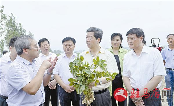 guols1609173.jpg