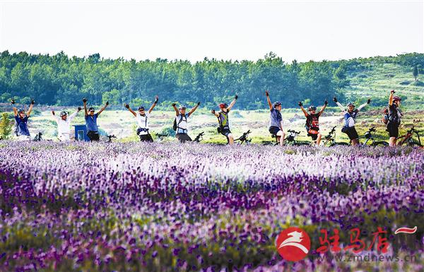 guols1609514.jpg