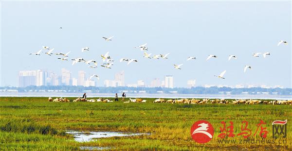 guols1609524.jpg