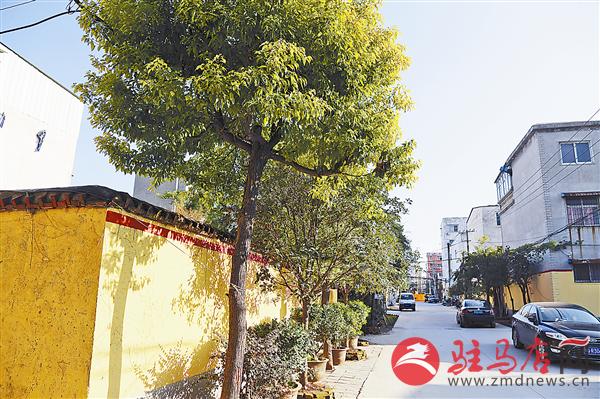 guols1611112.jpg