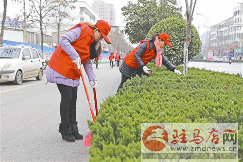 guols1612117.jpg