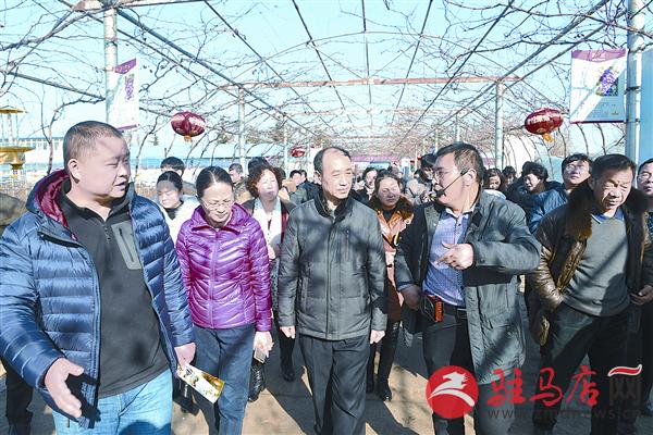 zhaol161267.jpg