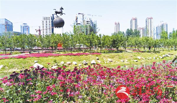wub1705338.jpg