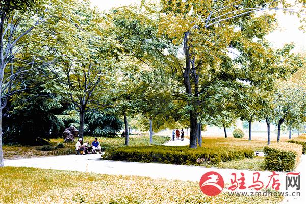 zhaol170674.jpg