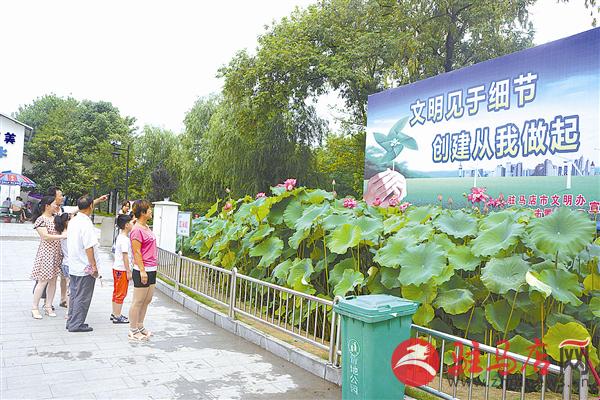 guols1707193.jpg