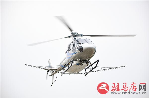 wub1709583.jpg
