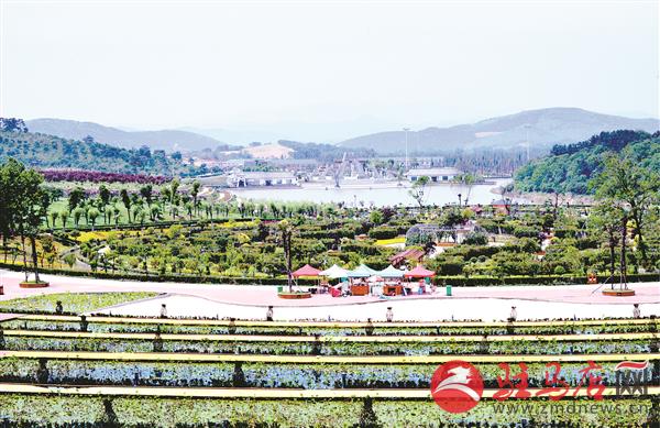 qif1804217.jpg