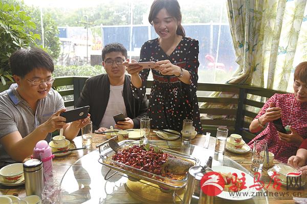 guols1805313.jpg
