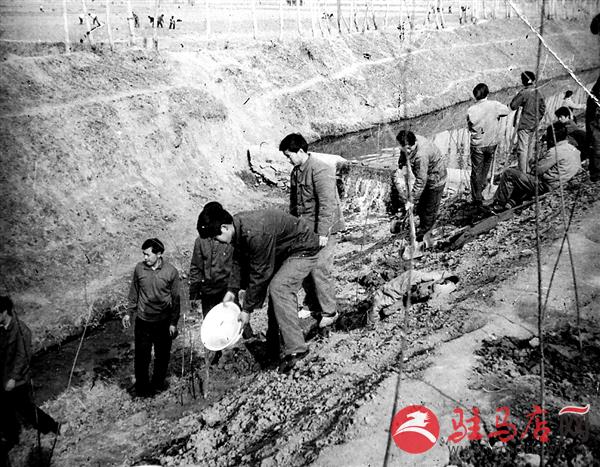 qif180759.jpg