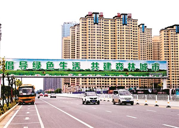 qif1807237.jpg