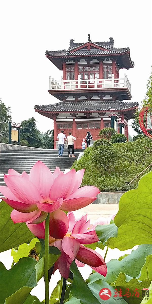 guols180828.jpg