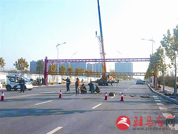 yangf181137.jpg