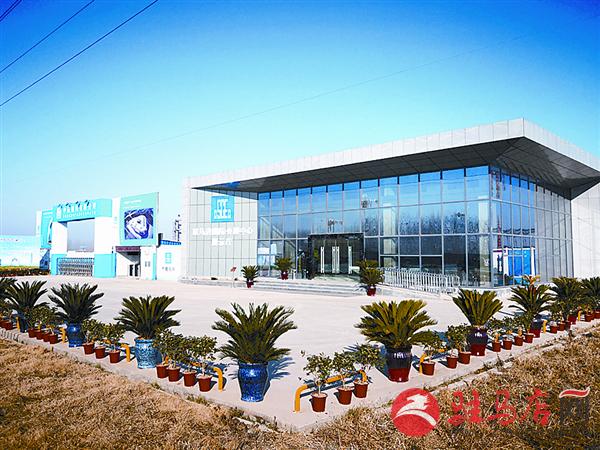 qif1901302.jpg
