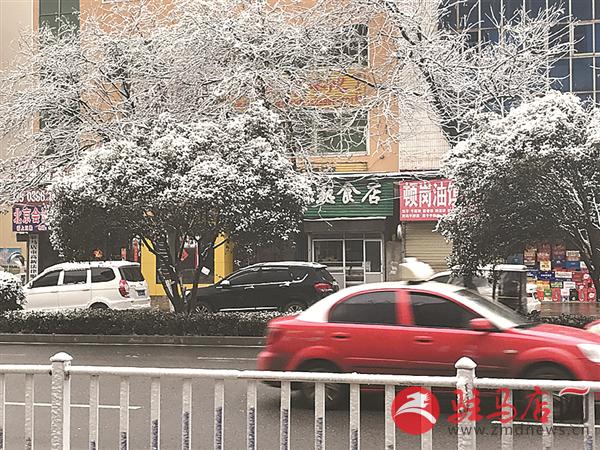 zhangxj190226.jpg