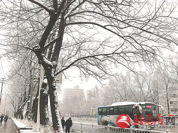 zhangxj190223.jpg