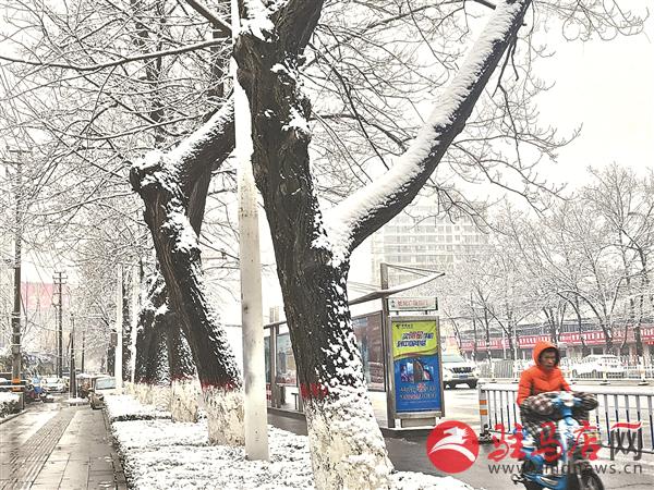 zhangxj190225.jpg