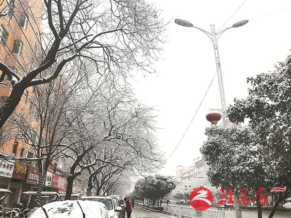 zhangxj190222.jpg