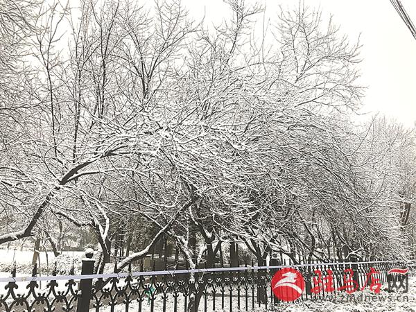 zhangxj190224.jpg