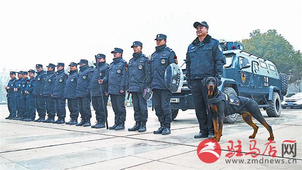 qif1902350.jpg
