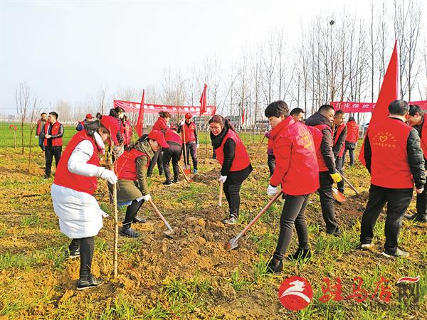 wanghh190277.jpg