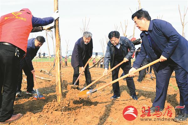 qif1902538.jpg