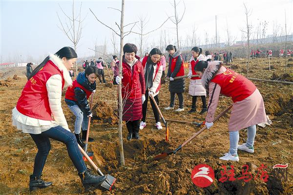 zhangdc190313.jpg
