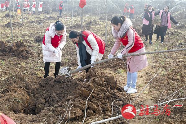 zhangdc190312.jpg