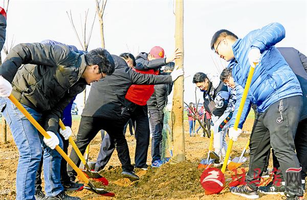 guols1903169.jpg