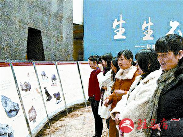 qif19031651.jpg