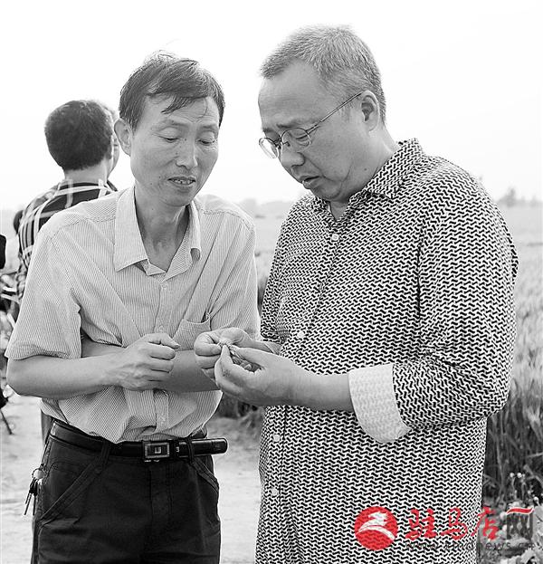 zhangz1505225.jpg