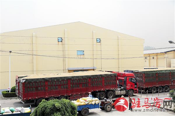 zhangz1506121.jpg