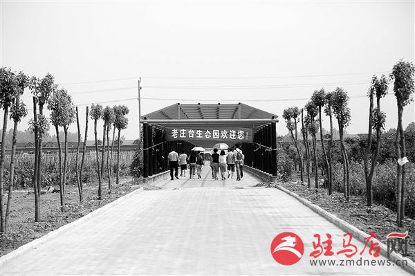 lifl15069.jpg
