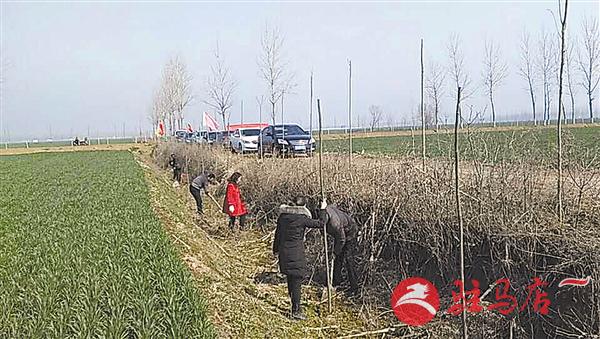 guols170392.jpg