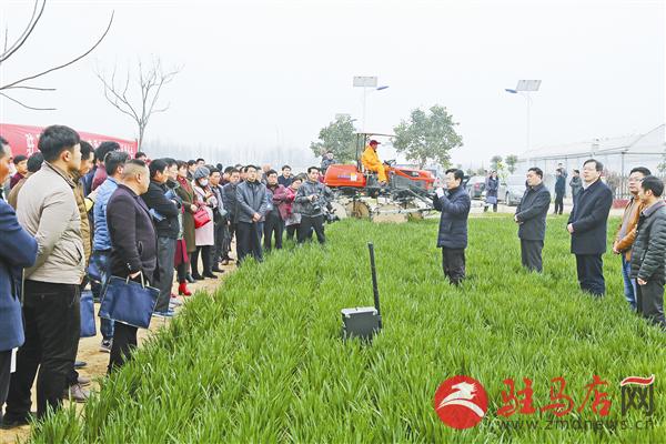 wub1703311.jpg