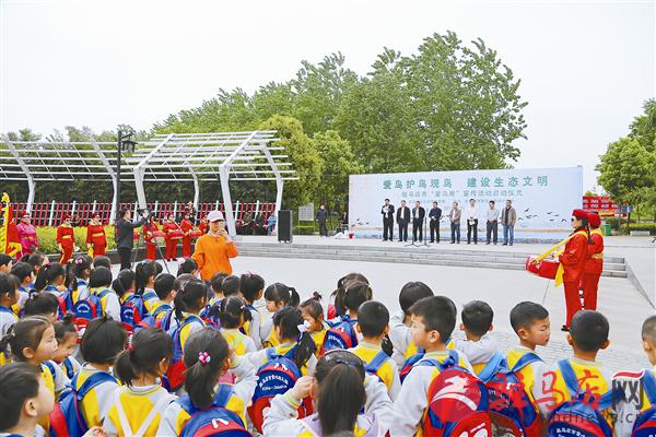 wub1704336.jpg